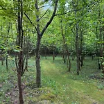 Tiny House Countryside Nyaraló *