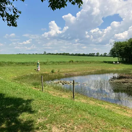 Vakantiehuis Tiny House Countryside *