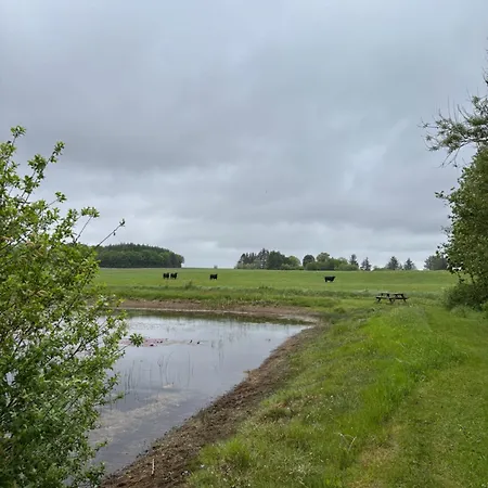 Tiny House Countryside Дом отдыха Hejnsvig