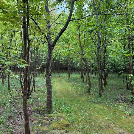 Tiny House Countryside Дом отдыха *
