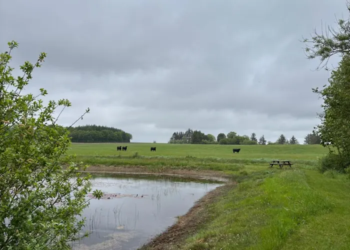Tiny House Countryside Feriehus Hejnsvig