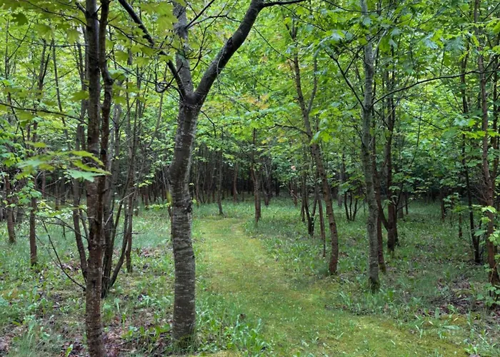 Tiny House Countryside Feriehus *